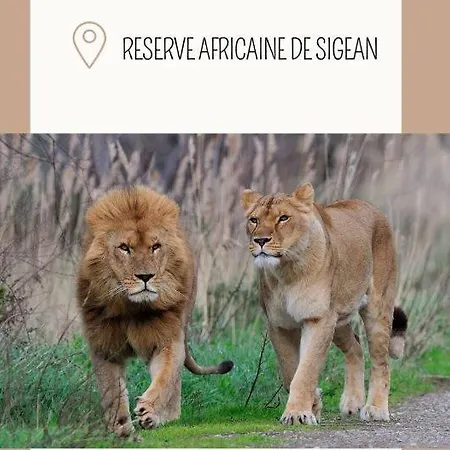 Maison Pagnol Pépieux