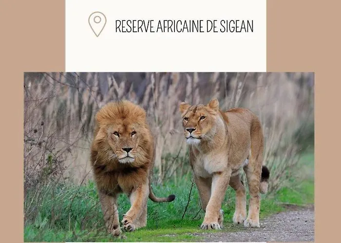 Maison Pagnol Pépieux